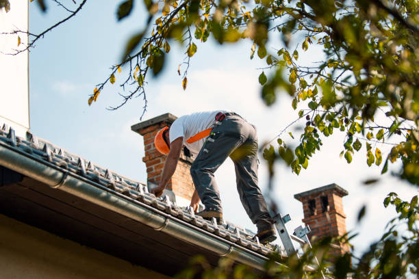 Best Roof Gutter Cleaning  in Belleville, MI