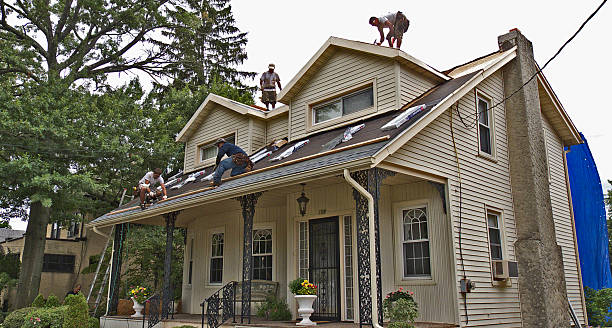 Best Flat Roof Repair Services  in Belleville, MI