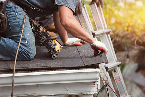 Best Roof Leak Repair  in Belleville, MI
