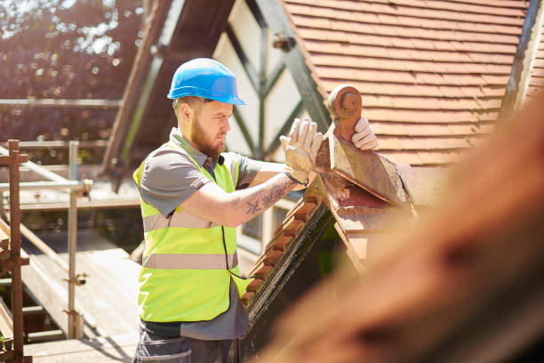 Best Roofing Contractor Near Me  in Belleville, MI