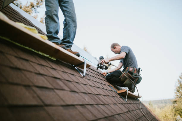 Best New Roof Installation  in Belleville, MI