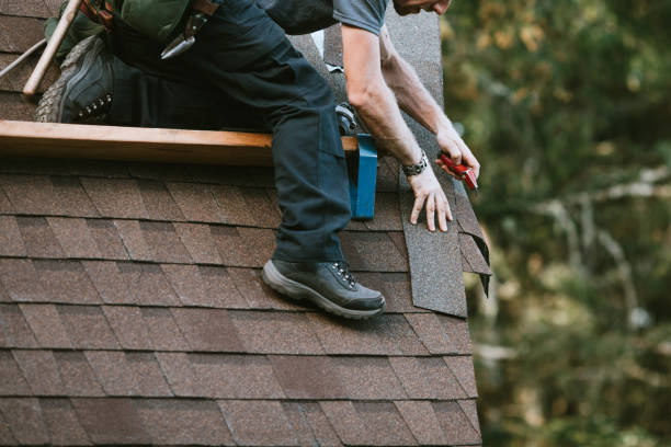 Best Shingle Roofing Installation  in Belleville, MI