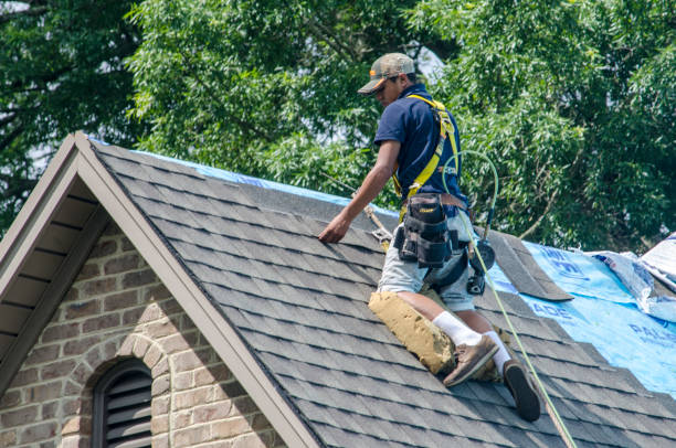 Best Emergency Roof Repair  in Belleville, MI